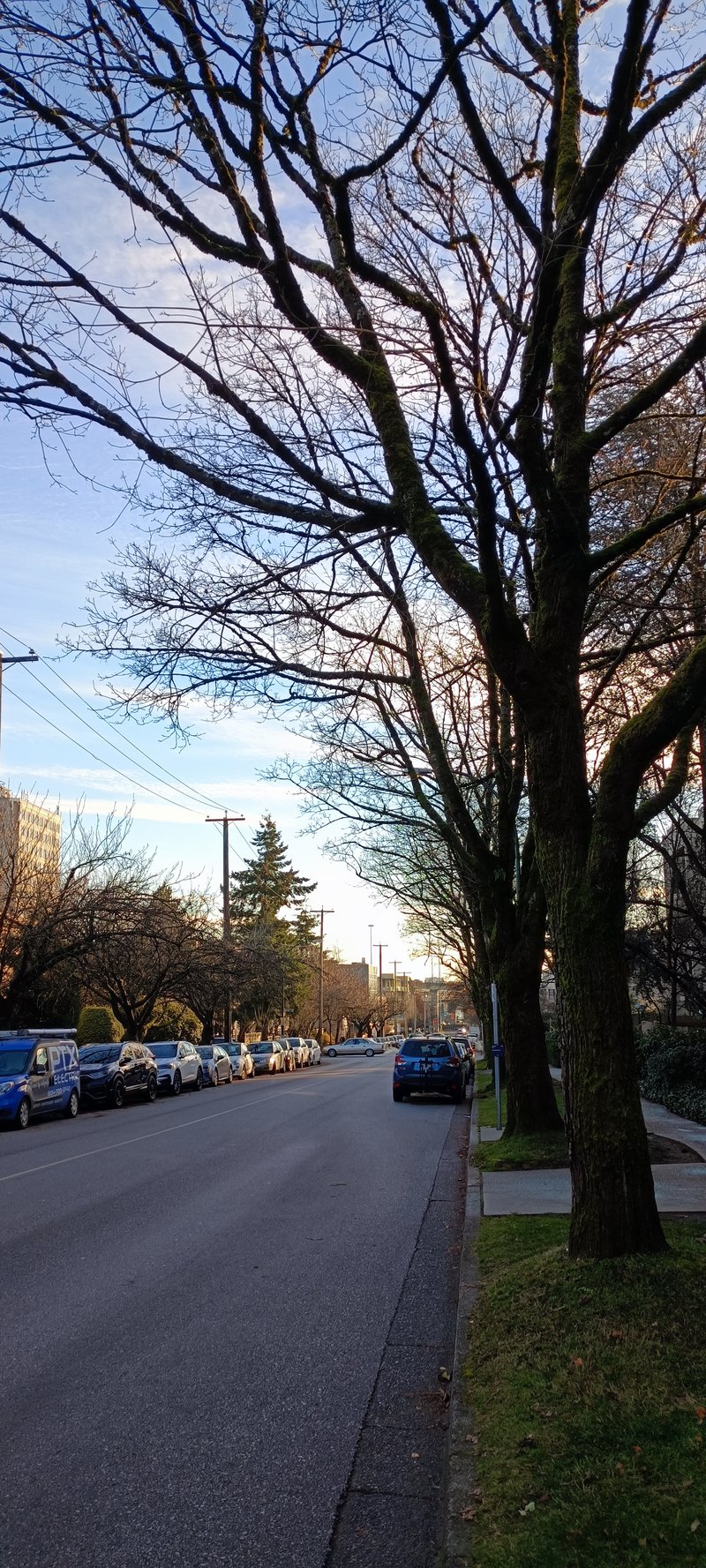 Feeling so cold, Vancouver Winter