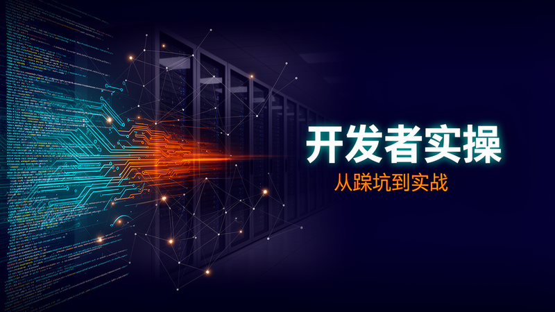 🛠️ 开发者实操