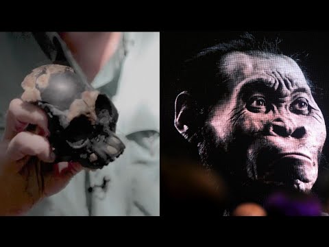  | 250000-Year-Old Skull Found in Cave in South Africa - Inside Edition